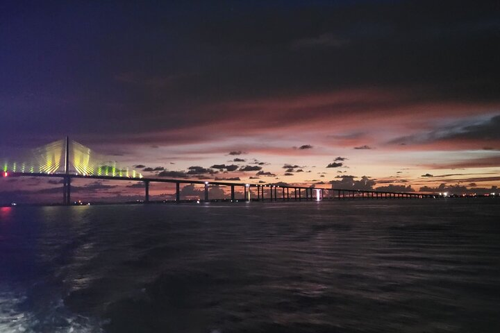 Sunshine Skyway at Night